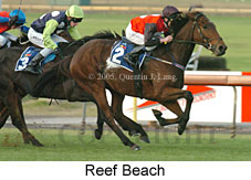 Reef Beach (14872 bytes)