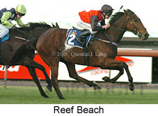 Reef Beach (14872 bytes)