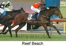 Reef Beach (14872 bytes)