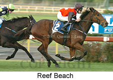 Reef Beach (14872 bytes)