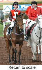 Return to scale (14872 bytes)