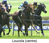 Loucola (16220 bytes)