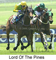 Lord of the Pines (15774 bytes)