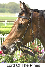 Lord of the Pines (16220 bytes)