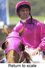 Return to scale (14012 bytes)