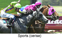 Sports (16693 bytes)