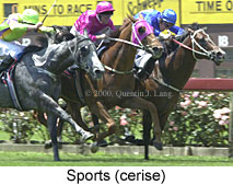 Sports (18383 bytes)