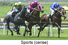 Sports (16620 bytes)