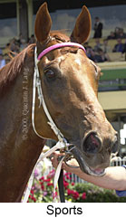 Sports (13193 bytes)