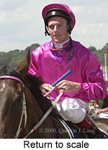 Return to scale (12968 bytes)