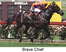 Brave Chief (17555 bytes)