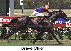 Brave Chief (18250 bytes)