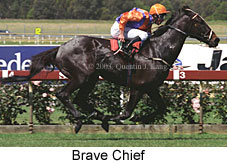 Brave Chief (17386 bytes)