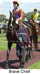 Brave Chief (17204 bytes)