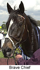Brave Chief (12492 bytes)