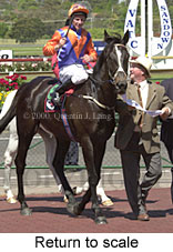 Return to scale (17396 bytes)