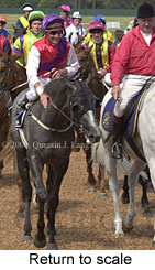 Return to scale (16744 bytes)