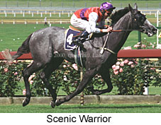 Scenic Warrior (19500 bytes)