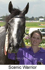 Scenic Warrior (12408 bytes)