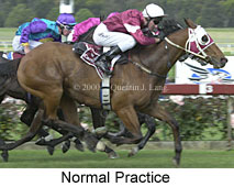 Normal Practice (15685 bytes)