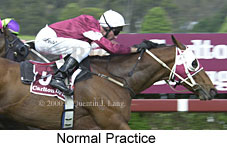 Normal Practice (13472 bytes)