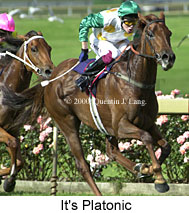 It's Platonic (20309 bytes)