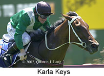 r1karlakeys.jpg (12000 bytes)