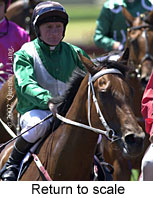 r1rtosc.jpg (14874 bytes)