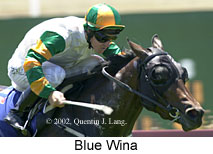 r2bluewina.jpg (12174 bytes)