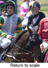 r2rtosc.jpg (15552 bytes)