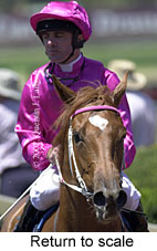 r3rtosc.jpg (13211 bytes)