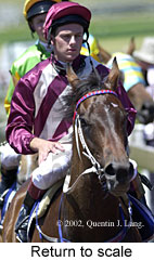 r4rtosc.jpg (16680 bytes)