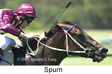 r4spurn2.jpg (12621 bytes)