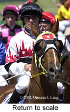 r5rtosc.jpg (15936 bytes)