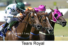 r6tearsroyal2.jpg (14304 bytes)