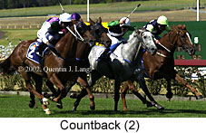 r7countback.jpg (17478 bytes)