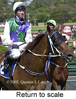 r7rtosc.jpg (14066 bytes)