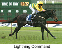 Lightning Command (14736 bytes)
