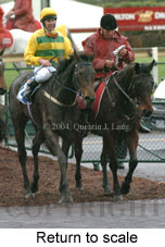 Return to scale (13662 bytes)