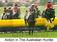 Jumping action (19771 bytes)