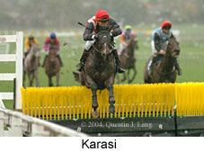 Karasi (13468 bytes)