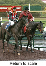 Return to scale (16589 bytes)