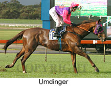 Umdinger (18614 bytes)