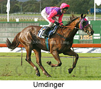 Umdinger (16501 bytes)