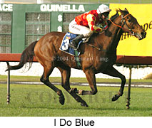 I Do Blue (18237 bytes)