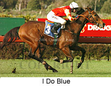 I Do Blue (19353 bytes)