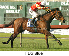 I Do Blue (18731 bytes)