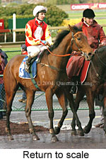 Return to scale (17962 bytes)