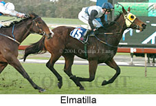 Elmatilla (18237 bytes)