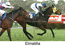 Elmatilla (18237 bytes)